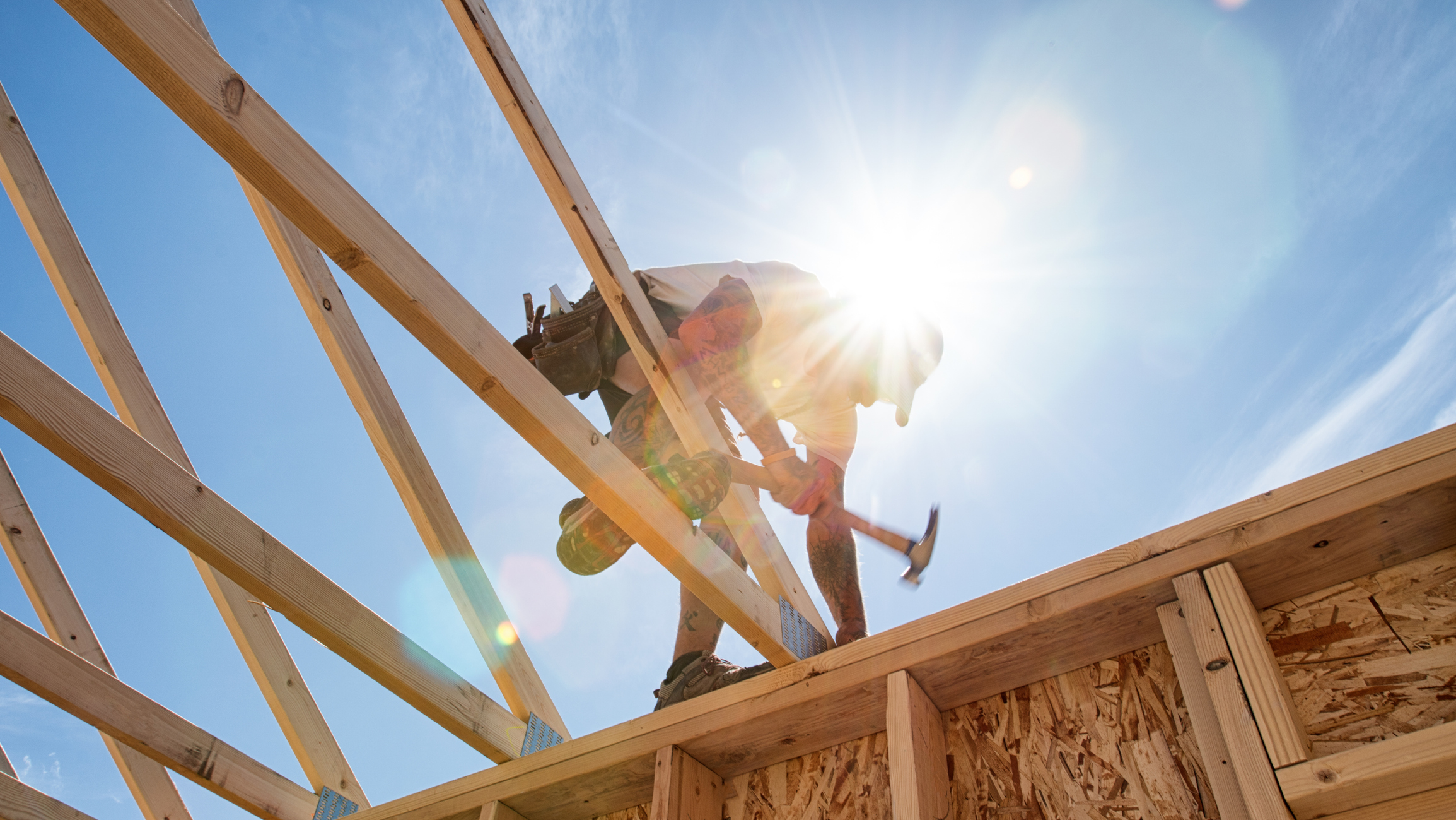 Contractors & Builders